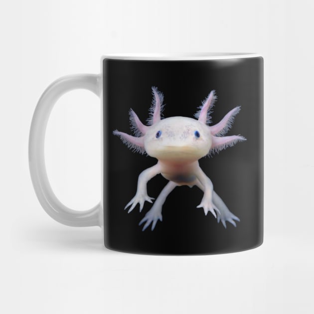 Axolotl by MysticTimeline